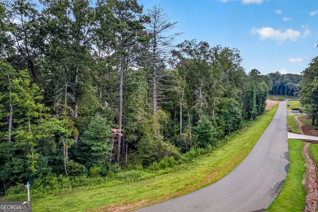 LOT 14 Clear Creek Preserve Way, Ellijay, GA 30536