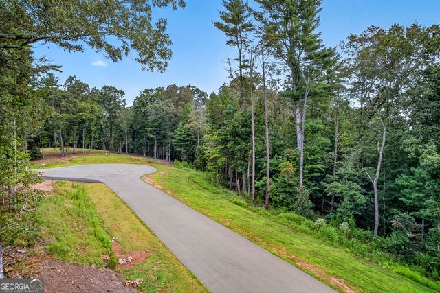 LOT 14 Clear Creek Preserve Way, Ellijay, GA 30536