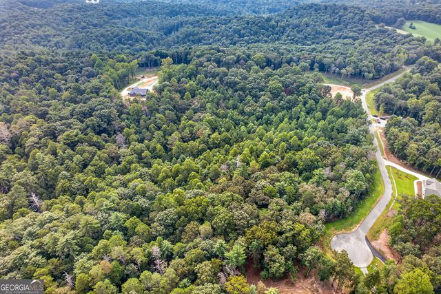 LOT 14 Clear Creek Preserve Way, Ellijay, GA 30536