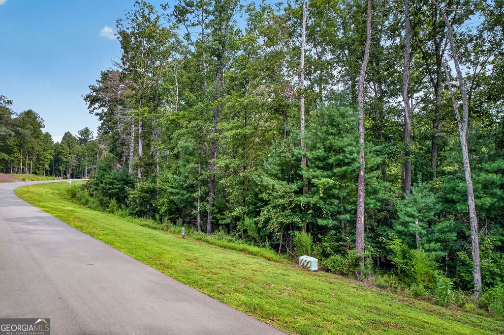 LOT 14 Clear Creek Preserve Way, Ellijay, GA 30536