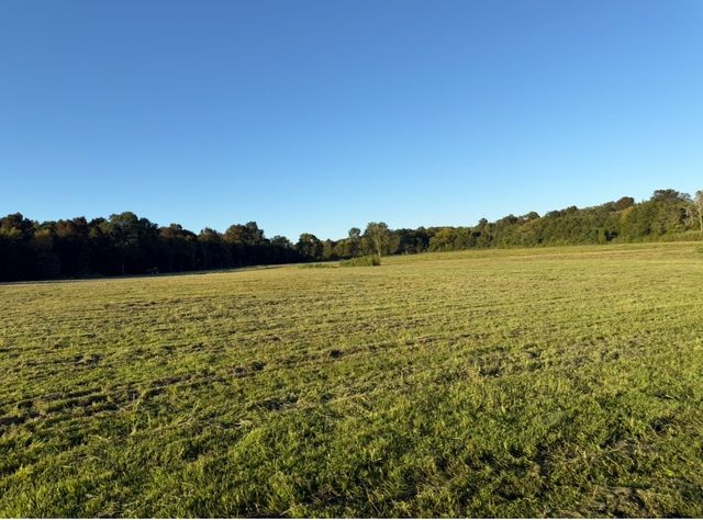 0 Minkslide Rd, Bell Buckle, TN 37020