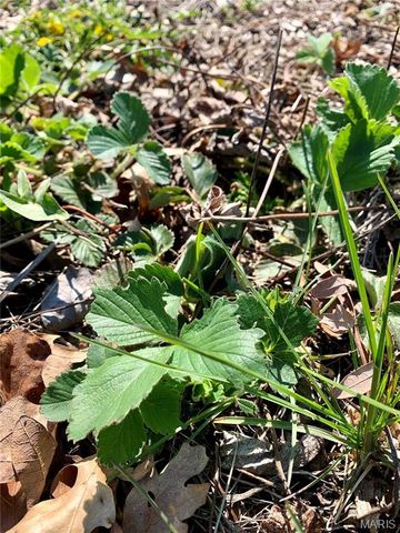 24613 Shady Oak Place, Perry, MO 63462