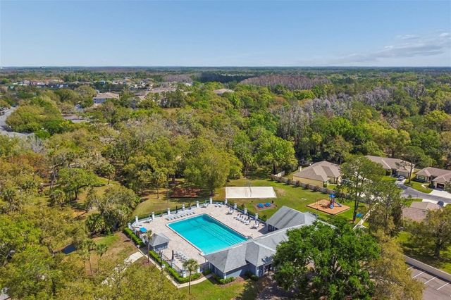 18529 PEBBLE LAKE COURT, Tampa, FL 33647