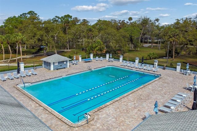 18529 PEBBLE LAKE COURT, Tampa, FL 33647