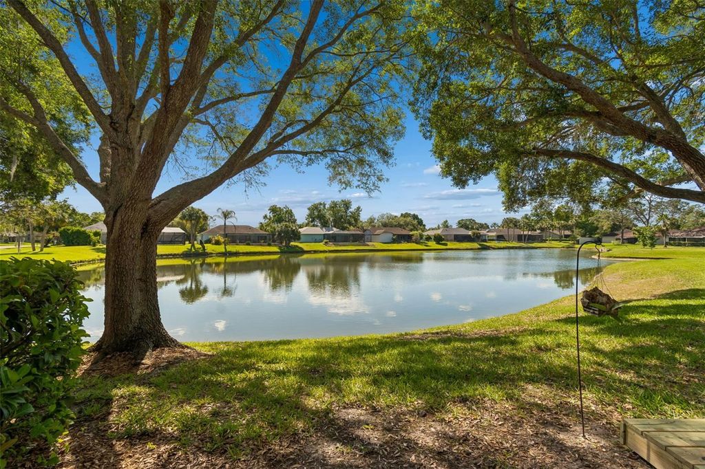 Image 45 of property listing at 18529 PEBBLE LAKE COURT, Tampa, FL 33647