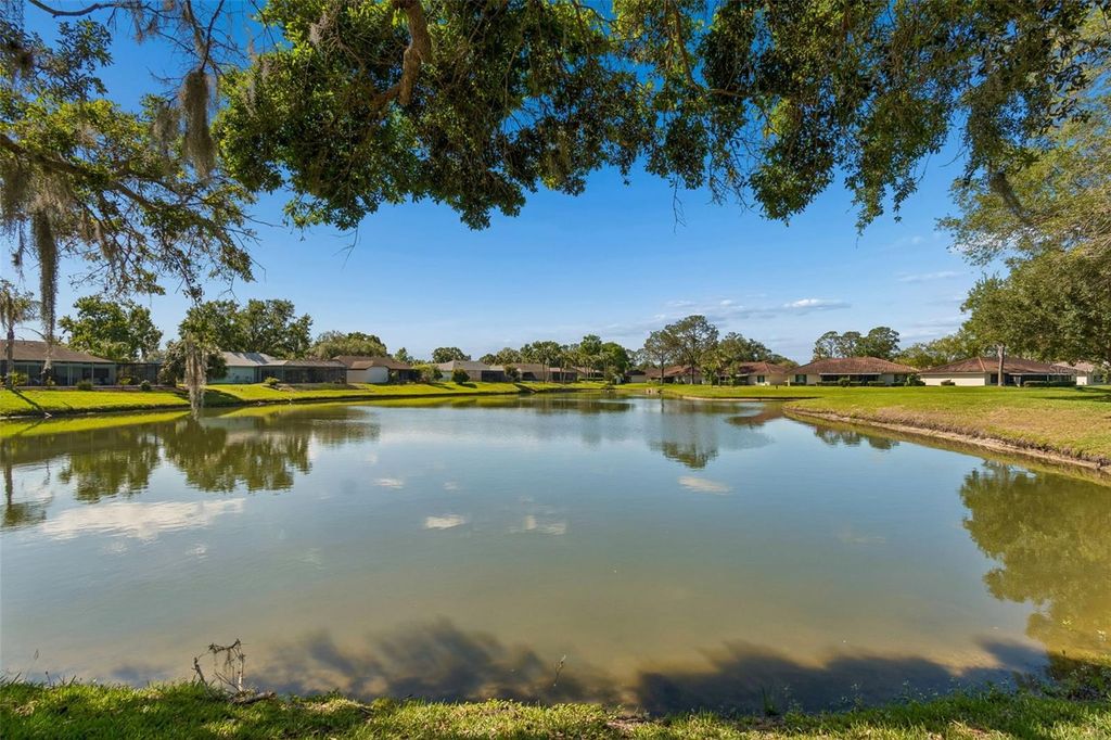 Image 46 of property listing at 18529 PEBBLE LAKE COURT, Tampa, FL 33647