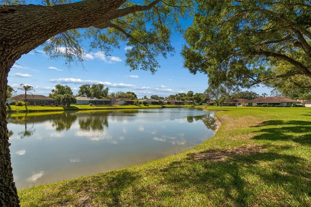 Image 47 of property listing at 18529 PEBBLE LAKE COURT, Tampa, FL 33647