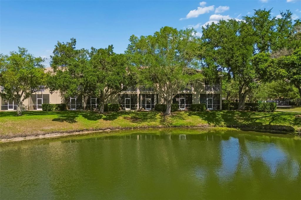 Image 49 of property listing at 18529 PEBBLE LAKE COURT, Tampa, FL 33647