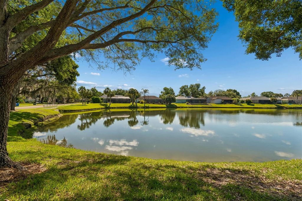 Image 50 of property listing at 18529 PEBBLE LAKE COURT, Tampa, FL 33647
