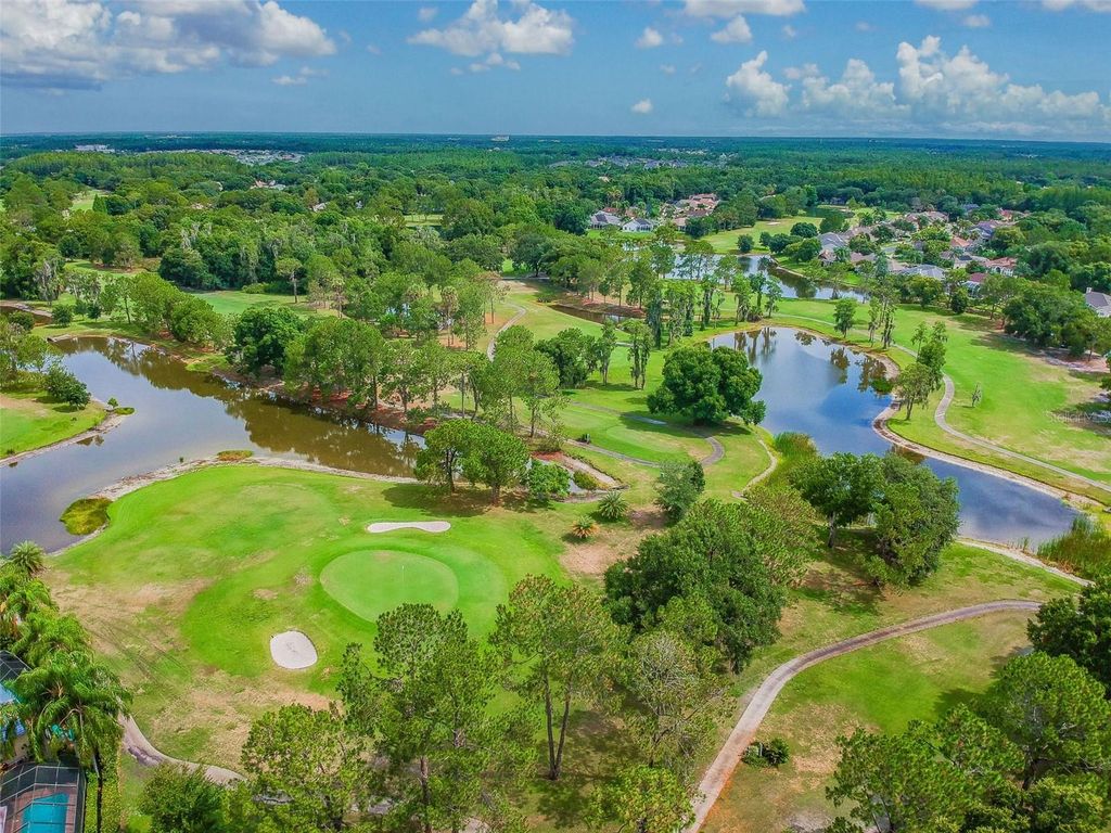 Image 61 of property listing at 18529 PEBBLE LAKE COURT, Tampa, FL 33647