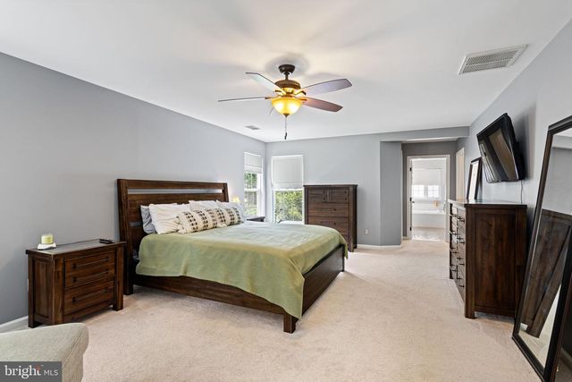 10065 TUMMEL FALLS DR, Bristow, VA 20136