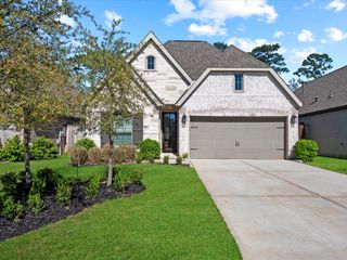 113 Dove Springs Court, Conroe, TX 77304