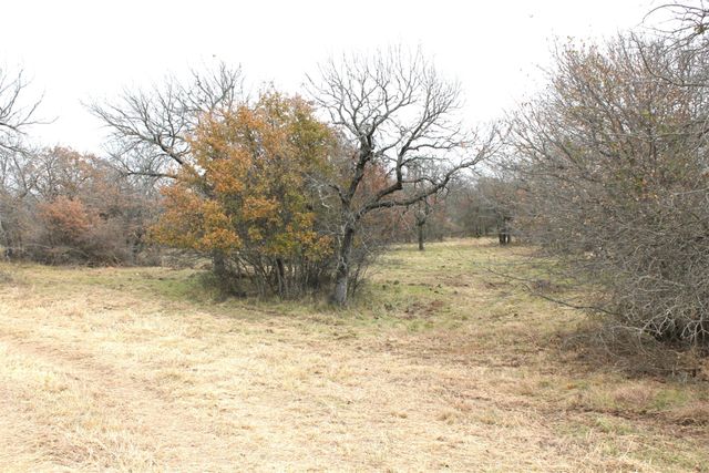 Lot 203 Ridgeline Drive, Chico, TX 76431