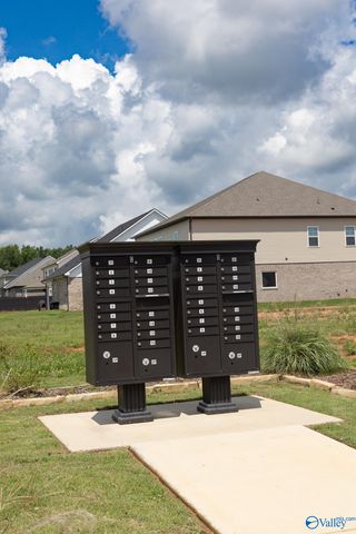 20005 Pebble Brook Lane, Athens, AL 35611