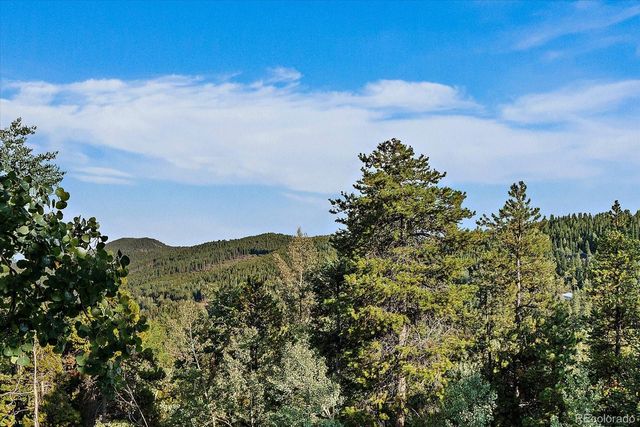 66 Lodgepole Circle, Evergreen, CO 80439