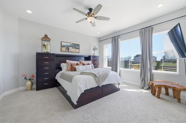 3258 Carabiner Street, Castle Rock, CO 80108