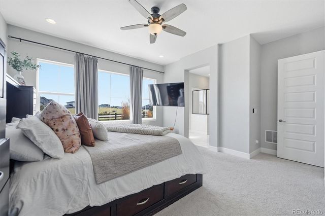 3258 Carabiner Street, Castle Rock, CO 80108