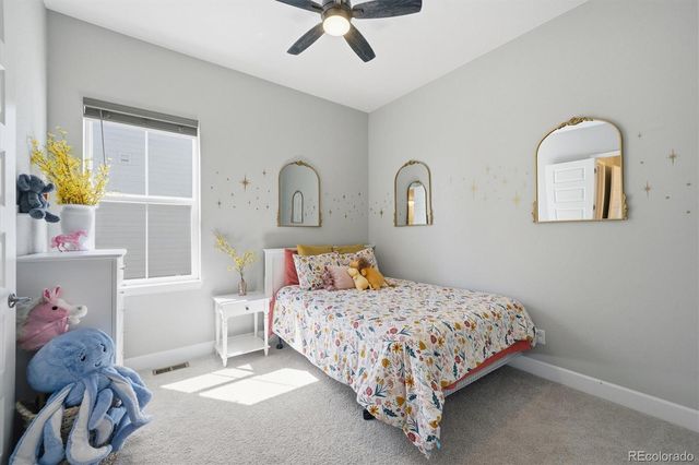 3258 Carabiner Street, Castle Rock, CO 80108