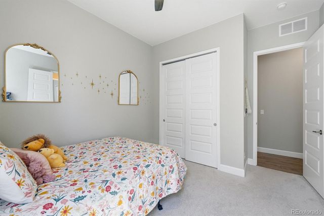 3258 Carabiner Street, Castle Rock, CO 80108