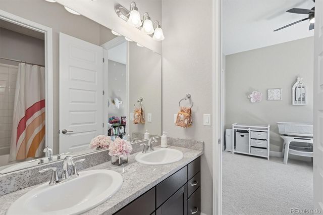 3258 Carabiner Street, Castle Rock, CO 80108