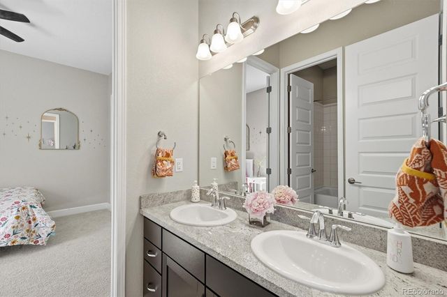 3258 Carabiner Street, Castle Rock, CO 80108