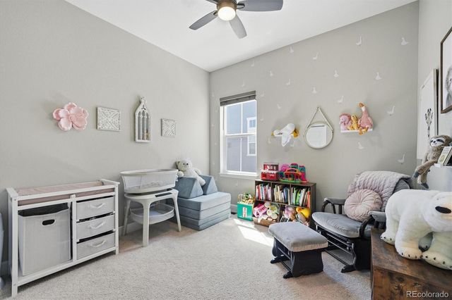 3258 Carabiner Street, Castle Rock, CO 80108