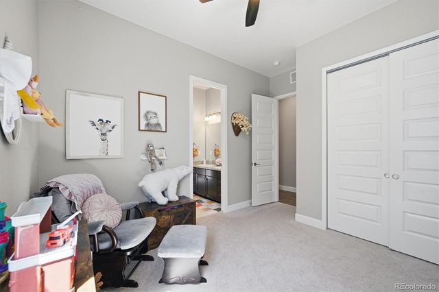 3258 Carabiner Street, Castle Rock, CO 80108