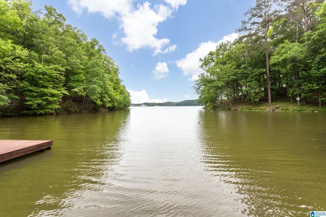 2705 NANYEHI DRIVE, Ohatchee, AL 36271