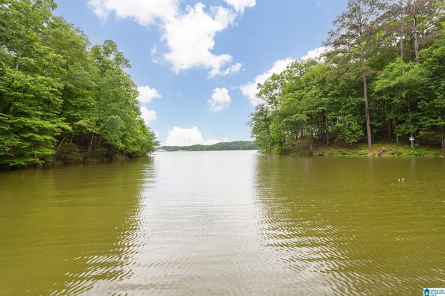 2705 NANYEHI DRIVE, Ohatchee, AL 36271