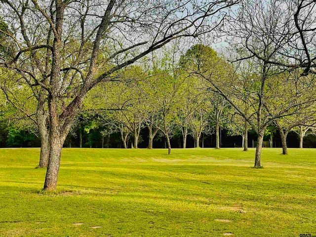 914 S Pineda, Jacksonville, TX 75766