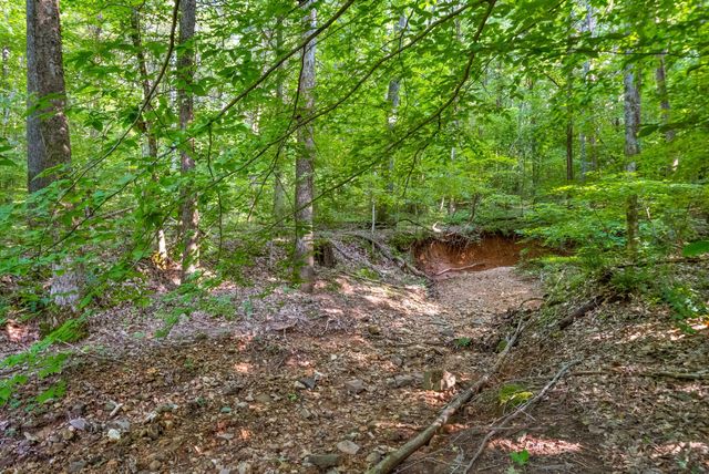 1 Ferry Rd, Clarksville, TN 37040