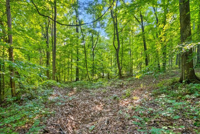 1 Ferry Rd, Clarksville, TN 37040