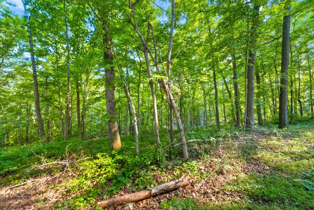 1 Ferry Rd, Clarksville, TN 37040