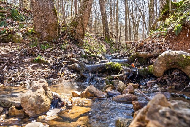 1 Ferry Rd, Clarksville, TN 37040