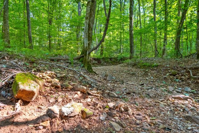 1 Ferry Rd, Clarksville, TN 37040