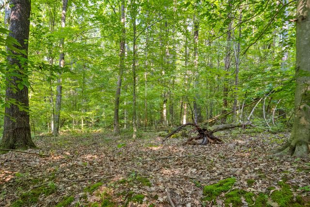 1 Ferry Rd, Clarksville, TN 37040