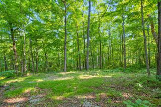 1 Ferry Rd, Clarksville, TN 37040