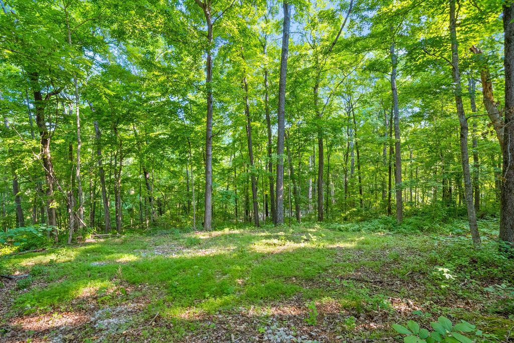 1 Ferry Rd, Clarksville, TN 37040