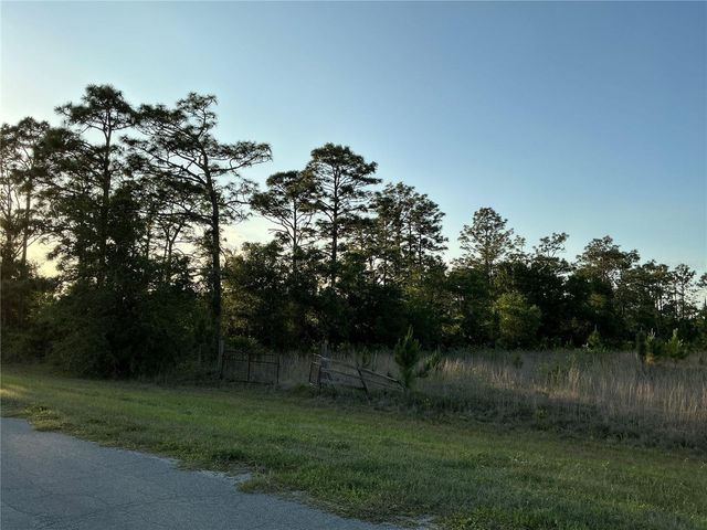 REYNOLDS PARKWAY, Orlando, FL 32833