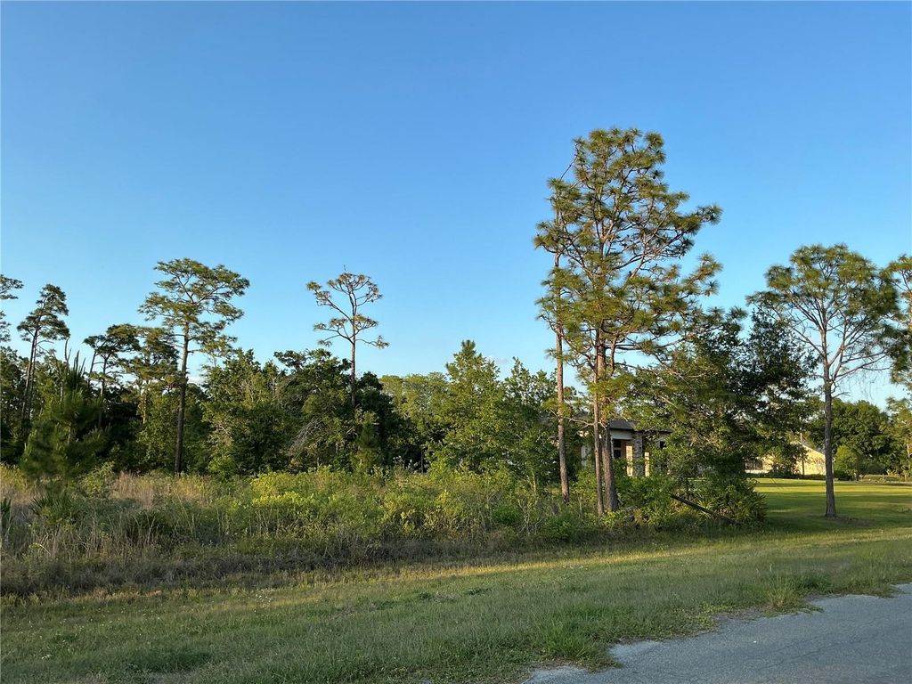 REYNOLDS PARKWAY, Orlando, FL 32833
