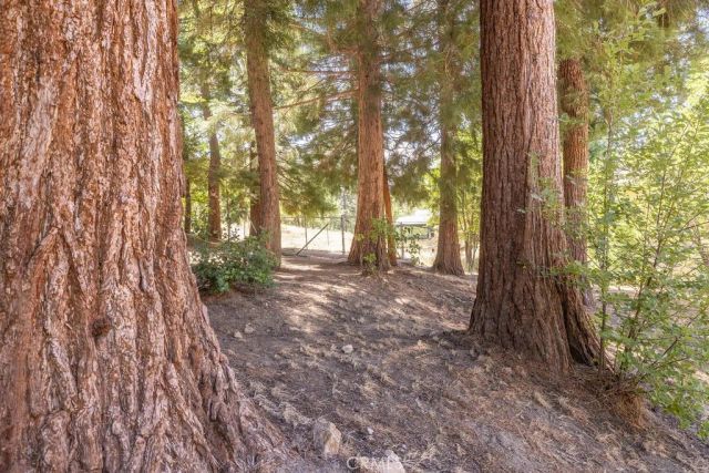 2383 Secret, Running Springs, CA 92382