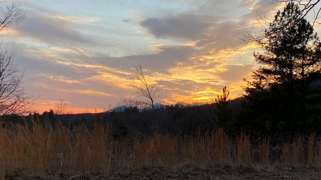 5930 Edwardsville RD, Hardy, VA 24101