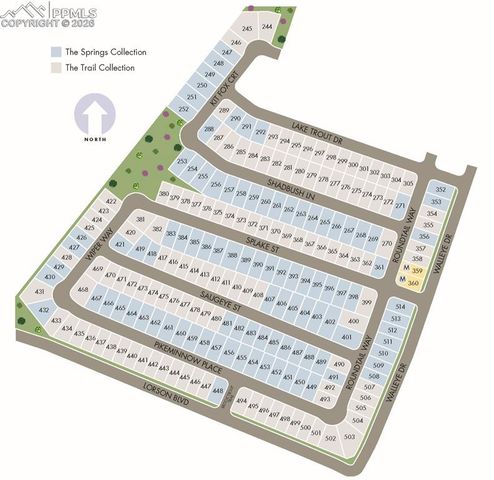 11385 Pikeminnow Place, Colorado Springs, CO 80925