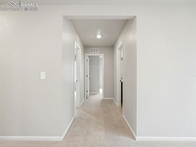 11385 Pikeminnow Place, Colorado Springs, CO 80925