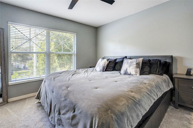 9550 CHARLESBERG DRIVE, Tampa, FL 33635