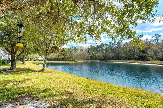 9550 CHARLESBERG DRIVE, Tampa, FL 33635