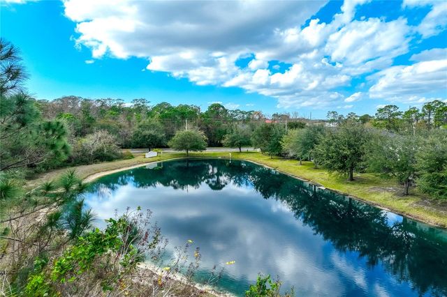 9550 CHARLESBERG DRIVE, Tampa, FL 33635