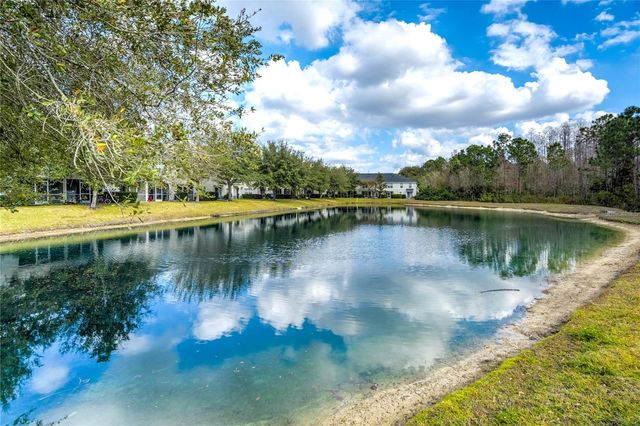 9550 CHARLESBERG DRIVE, Tampa, FL 33635