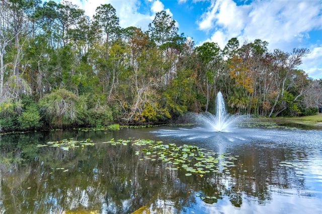 9550 CHARLESBERG DRIVE, Tampa, FL 33635