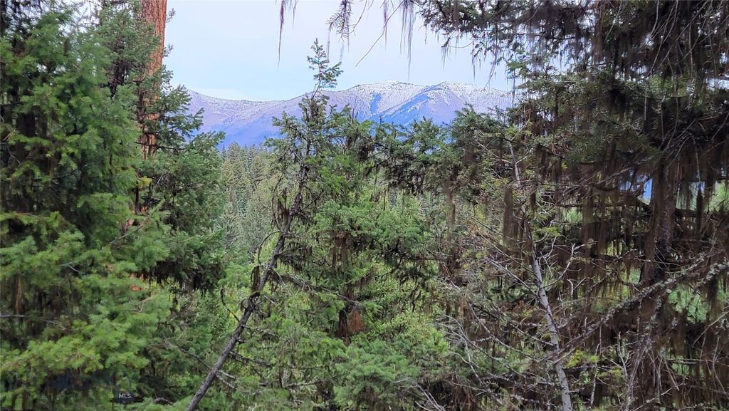 NHN TAMARACK DRIVE, SEELEY LAKE, MT 59870, SEELEY LAKE, MT Clearwater